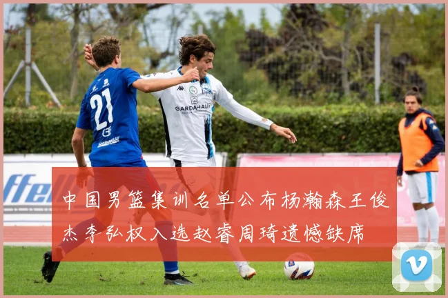 中国男篮集训名单公布杨瀚森王俊杰李弘权入选赵睿周琦遗憾缺席