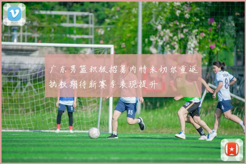 广东男篮积极招募内特米切尔重返执教期待新赛季表现提升